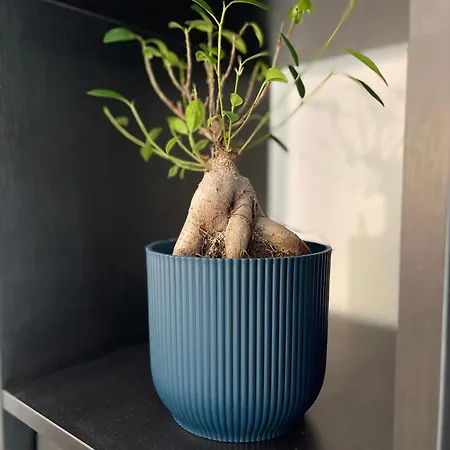 Le Cosy' Moderne - Proche Musee D'art Moderne *