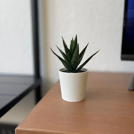 شقة Le Cosy' Moderne - Proche Musee D'art Moderne ستراسبورغ