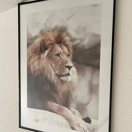 Le Cosy' Moderne - Proche Musee D'art Moderne Daire Strazburg