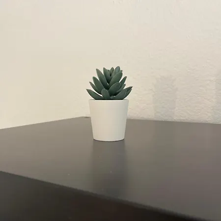 Le Cosy' Moderne - Proche Musee D'art Moderne * Strazburg